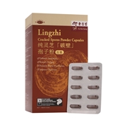 Lingzhi Cracked Spores Powder Capsules Lingzhi Cracked Spores Powder Capsules