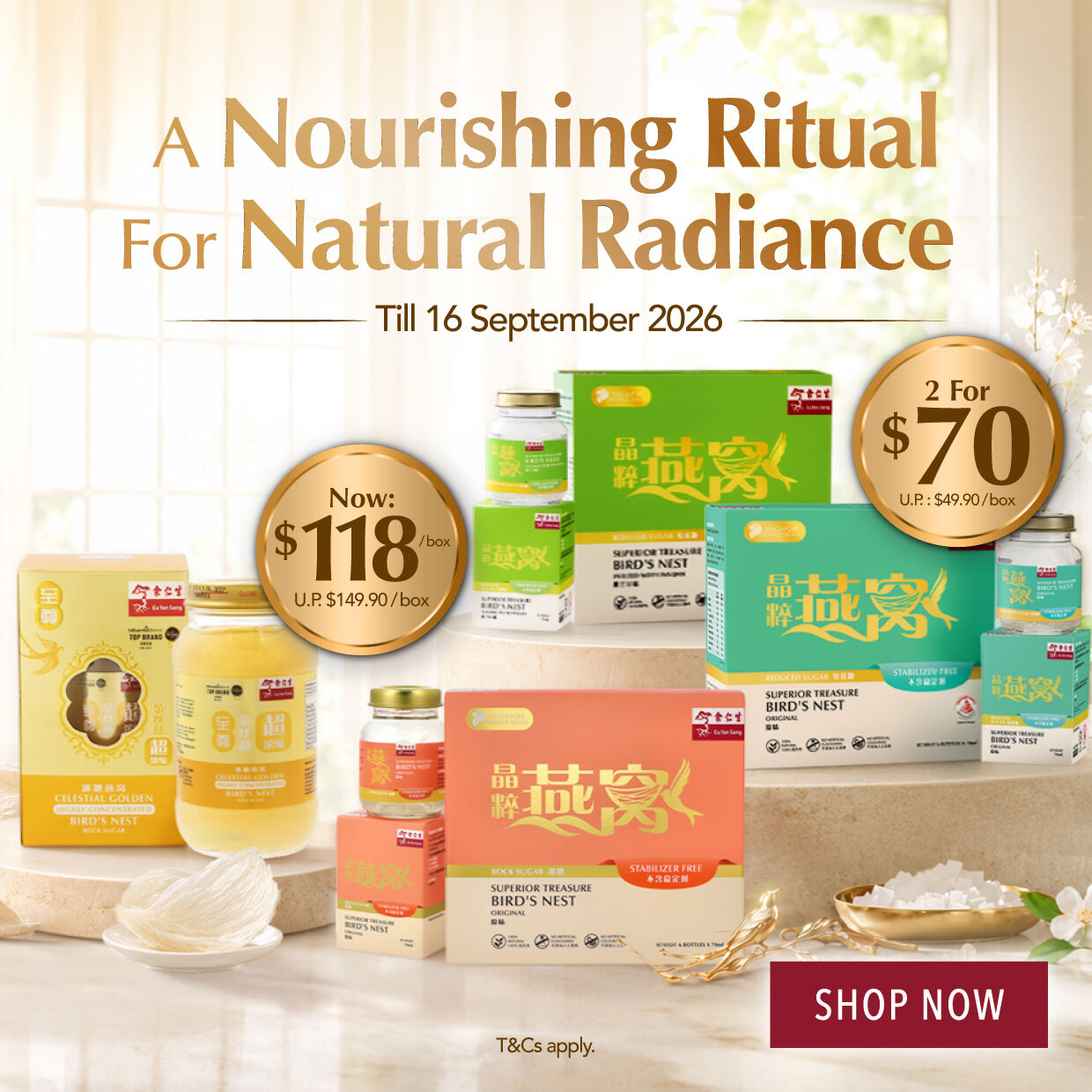 SHOP NOW