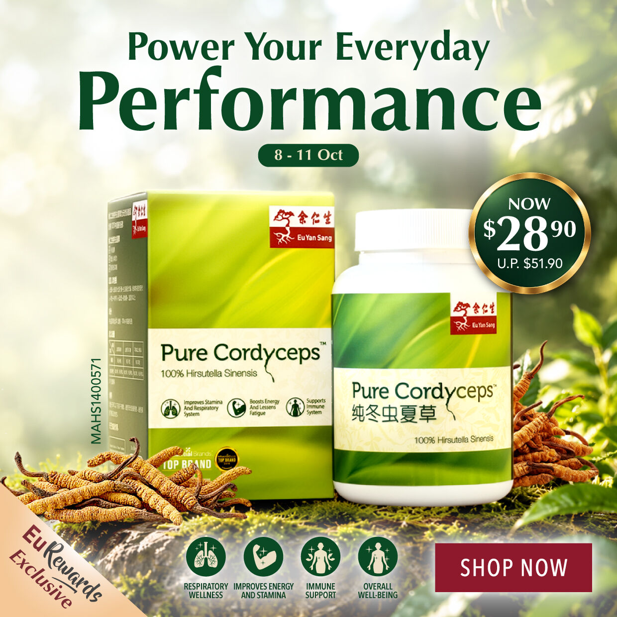 SHOP NOW