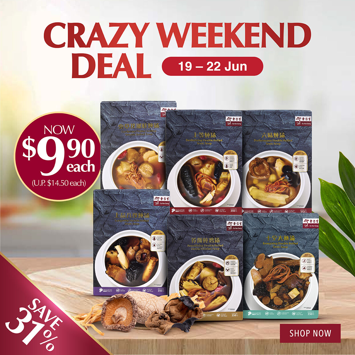 SHOP NOW