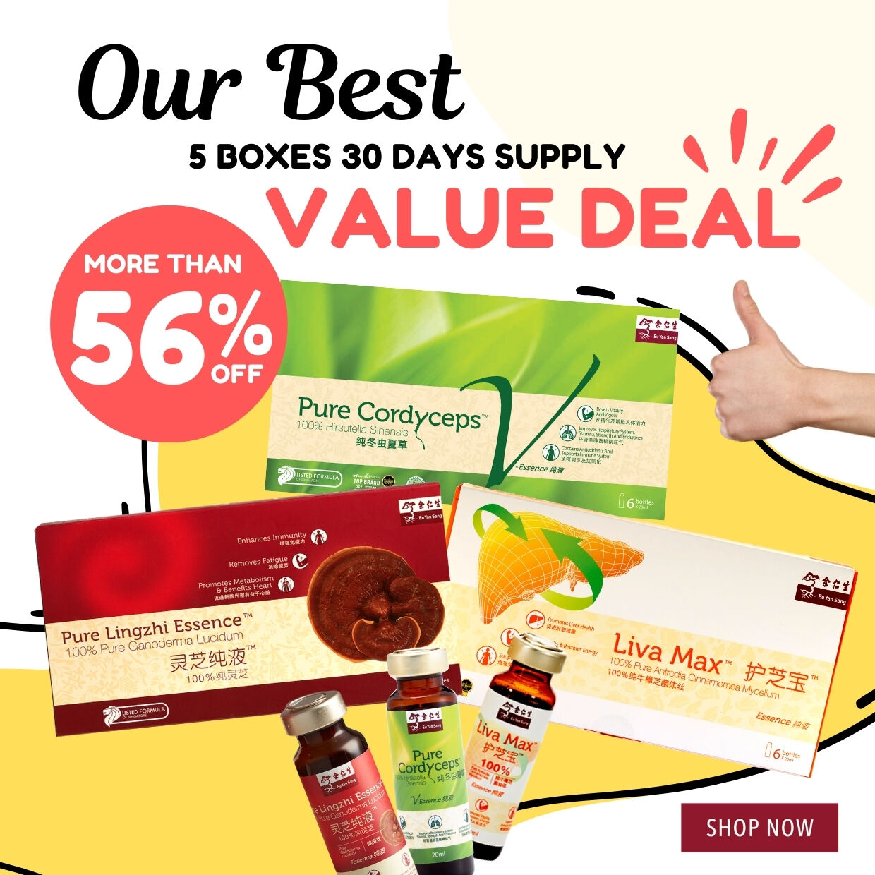 SHOP NOW