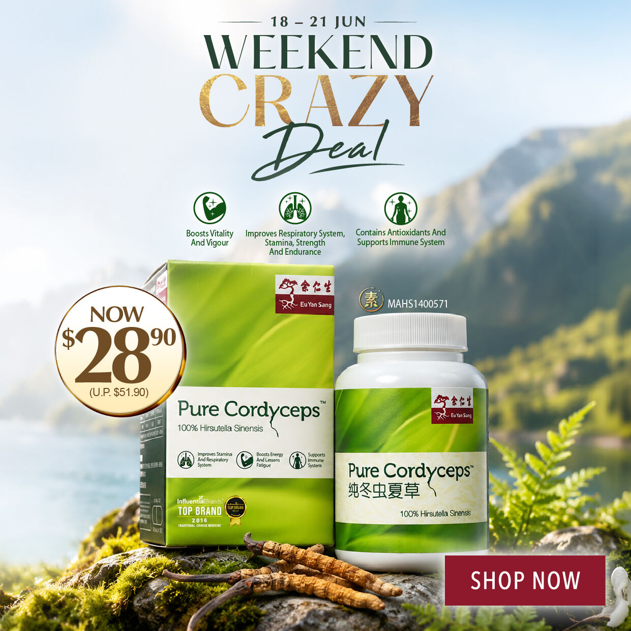SHOP NOW