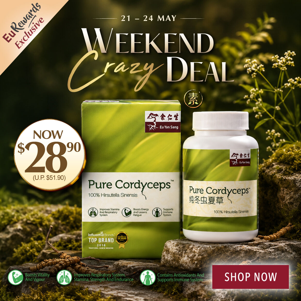 SHOP NOW