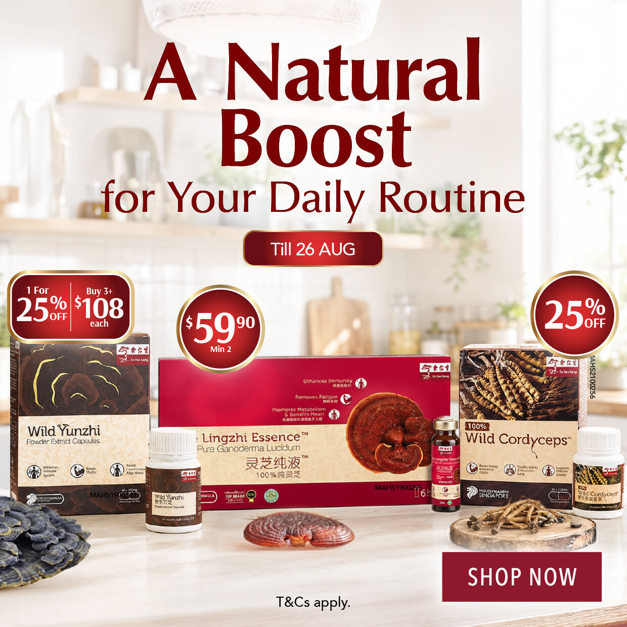 SHOP NOW