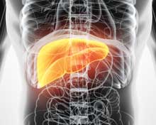 TCM: Understanding The Role Of The Liver