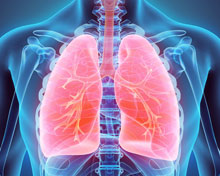 TCM: Understanding The Role Of The Spleen