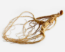 5 Ways Ginseng Is A Wonder Herb