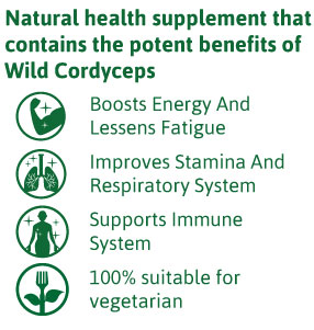 cordyceps benefits