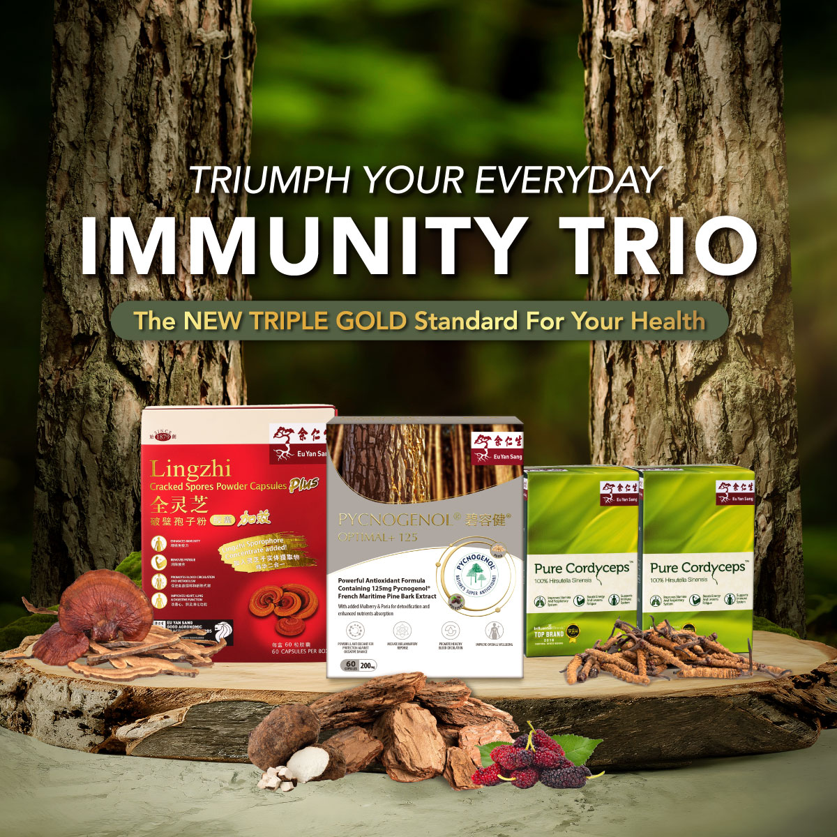 Immunity Trio Bundle