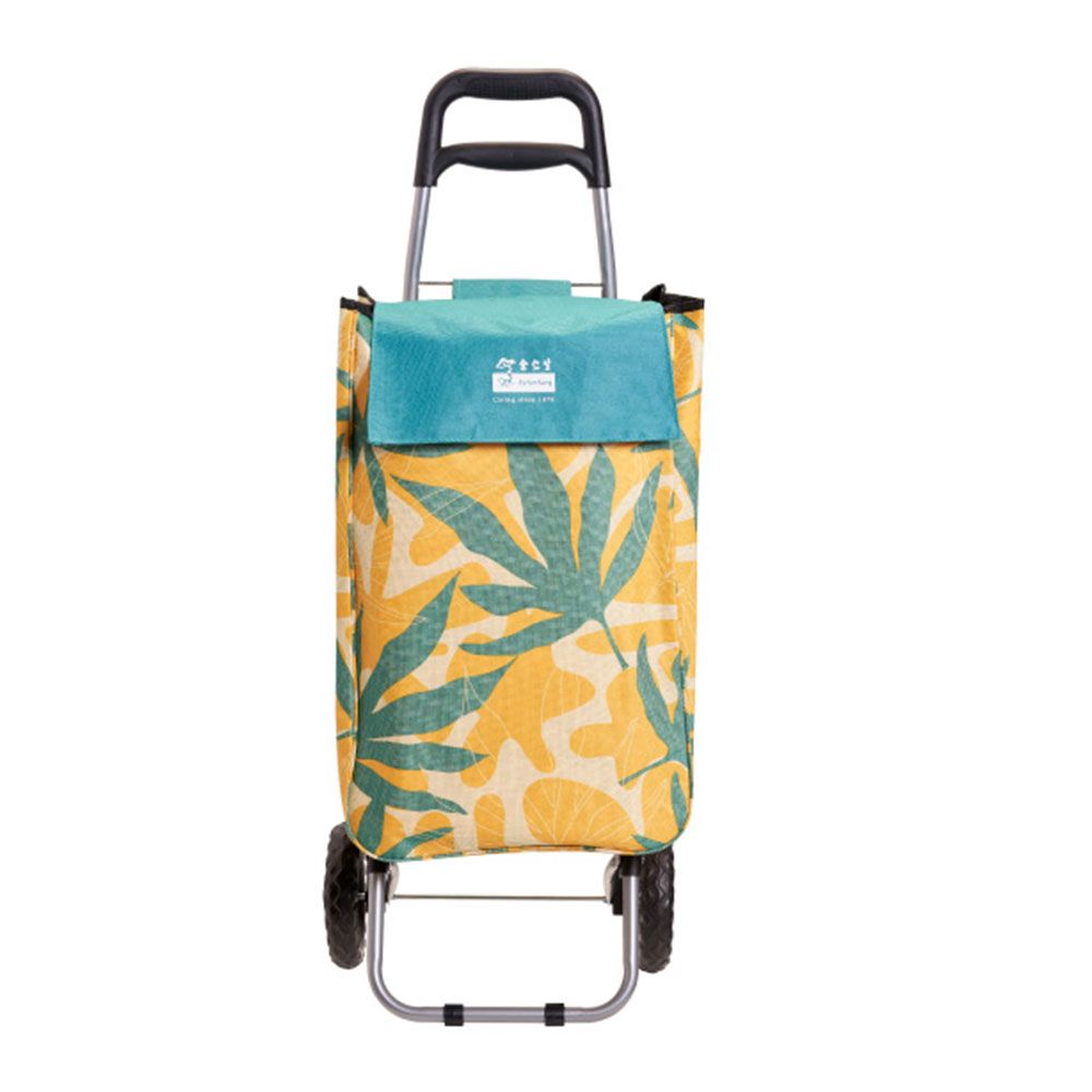 Buy Skyline Green Polyester Men and Women Soft Case Trolley Bag with 3  Wheels and Number Lock Online at Best Prices in India - JioMart.