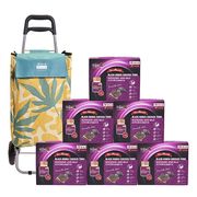 BB Essence of Chicken DuZhong Baji Set with Shopping Trolley Bag (Green)
