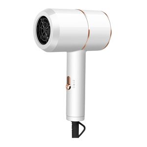 Electric Ionic Hair Dryer (White)