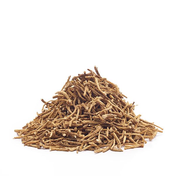 American Ginseng Thick Root