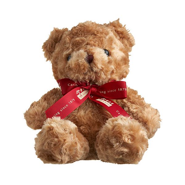 brown teddy bear