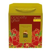 Prosperity Gift Set - Traditional Essence of Chicken 18's